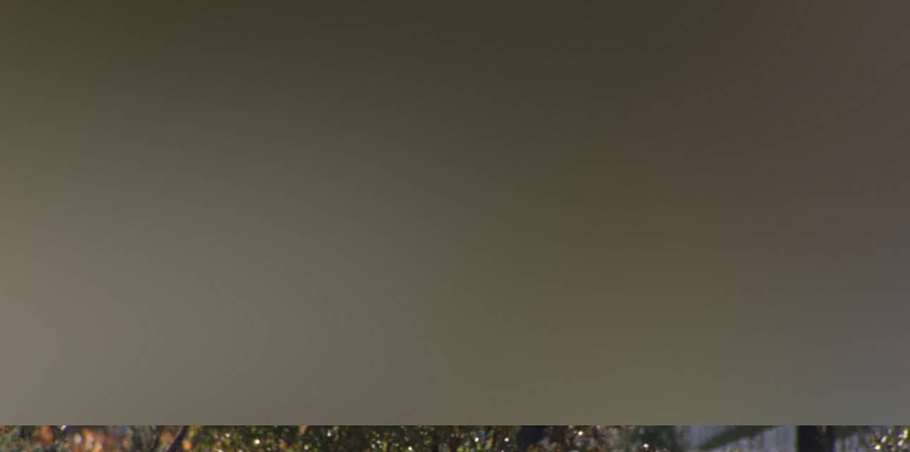 Arlington: Call to Honor (2009)