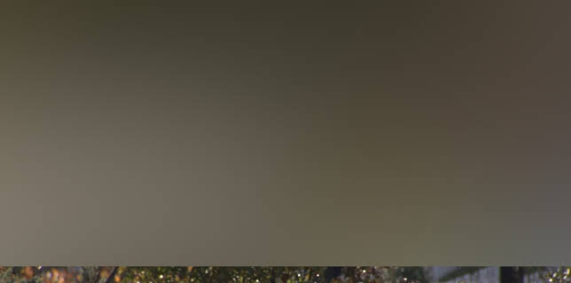 Arlington: Call to Honor (2009)