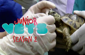 Junior Vets: Challenges