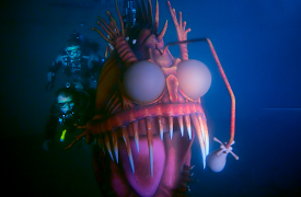 En dag hos Disney (Kortfilmer): Thom Self: Maskinist / Dykker