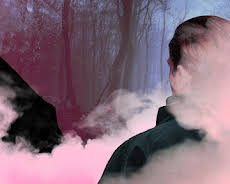 Rosa Riese - Jagd auf ein Phantom