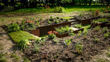 15:25: Hygge i hagen: «Sunken garden» | NRK 2 | 4/6 2026