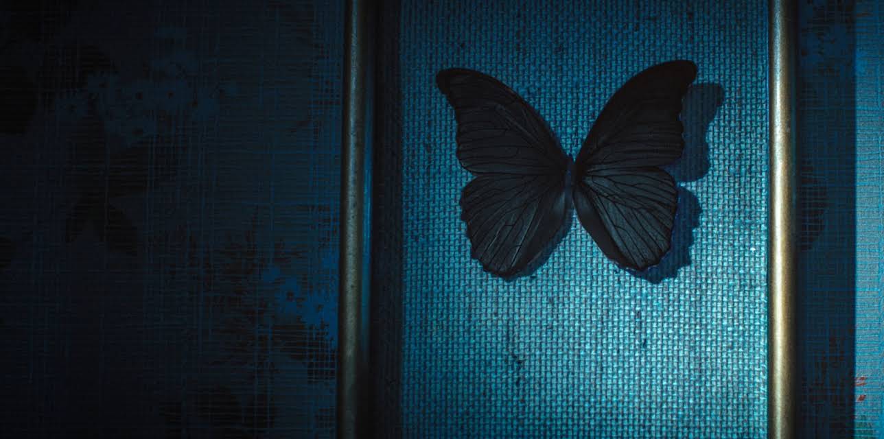 Black Butterflies