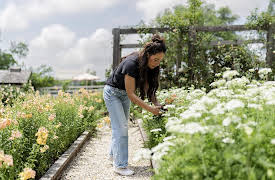 Magnolia Table: At The Farm, Season 1: Bacon Cheddar Quiche
