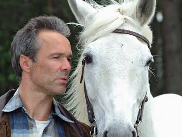 12:35: Die Pferdeinsel | SWR Fernsehen RP | 8/23 2026