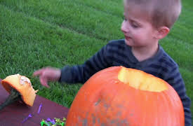 I'm Curious: Pumpkins