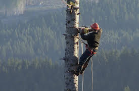 Ax Men Season 1: Market Meltdown