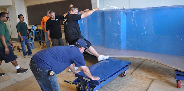 09:25: Tanked (S3 E10) (S3) | Animal Planet | 1/9 2026