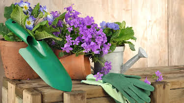 16:00: Gartenzeit | Radio Bremen | 4/18 2026