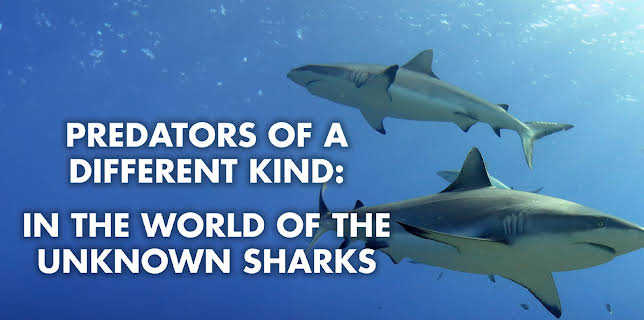 Predators of a Different Kind - In the World of the Unknown Sharks (2013)