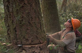 Ax Men Season 1: The Close Call