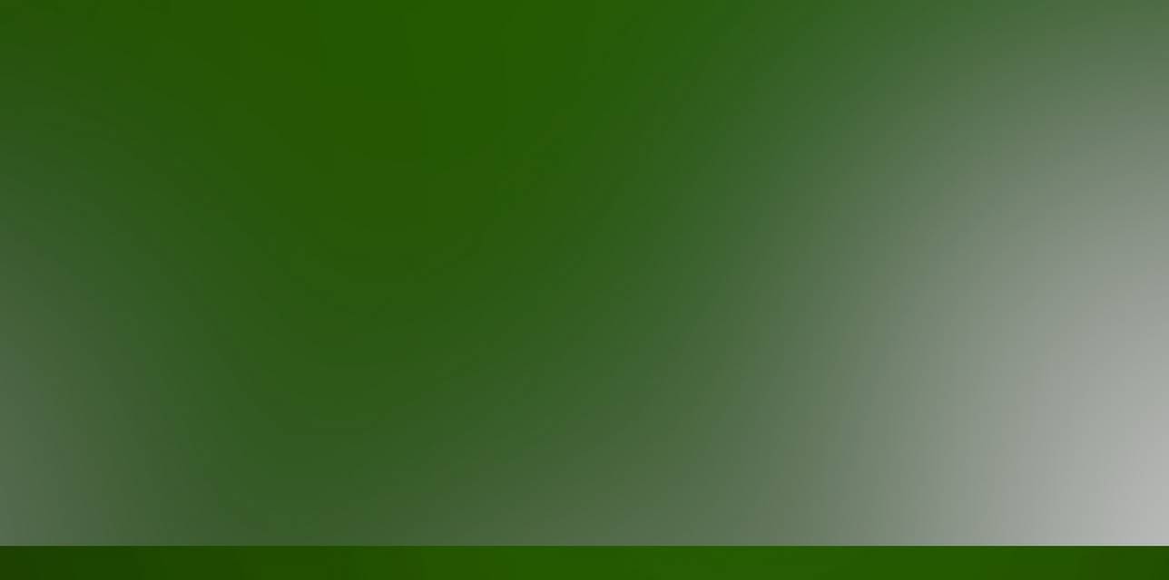 Caligula: Reign of Madness