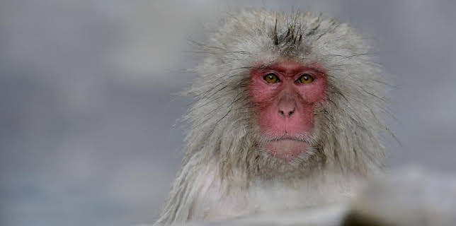 04:45: Verdens myter og mysterier (S1 E11) (S1) | VOX | 2/12 2026