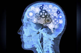 The Big Questions of Philosophy: How Does the Brain Produce the Mind?