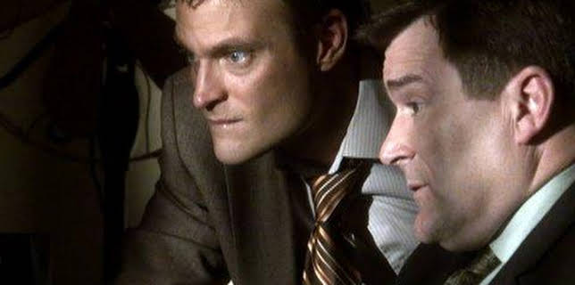 Ice Blues: A Donald Strachey Mystery (2008)