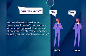 Mathematical Brain Teasers and Logic Puzzles: Question Puzzles and Coercive Logic