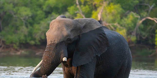 06:20: Die Victoriafälle | 3SAT | 11/9 2025