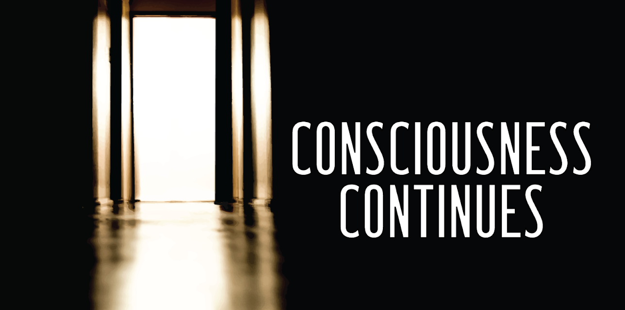 Consciousness Continues