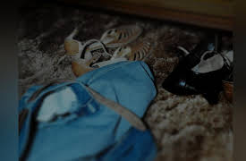 Almost Unsolved: Karma