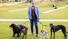 Dogs Behaving (Very) Badly Australia (S1 E4)