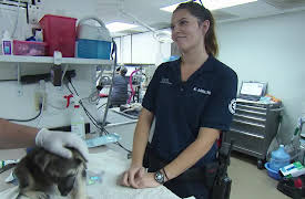 Animal Cops: Phoenix: Episode 9