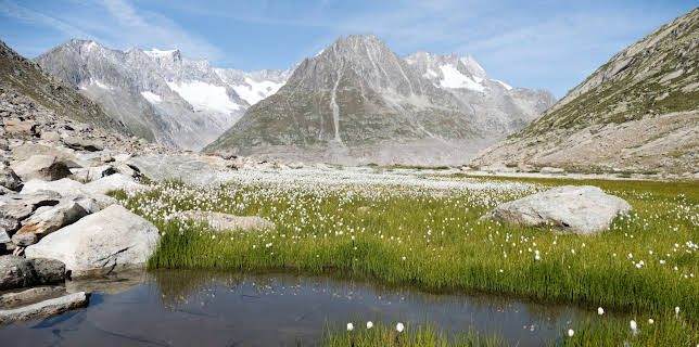 06:10: Unsere wilde Schweiz: Der Aletschgletscher | 3SAT | 11/3 2025