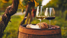 Genussvoll durch Rheinhessen