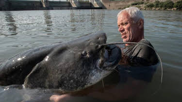 10:00 AM: Jeremy Wade's Dark Waters (S1) | Discovery Channel | 4/4 2026