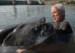 Jeremy Wade's Dark Waters