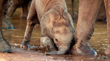 16:30: Kenia, eine Oase im Sand (1/2) | WDR Fernsehen | 5/17 2026