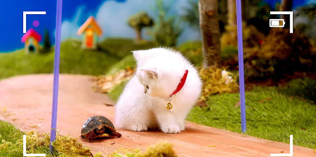 17:20: Rosin og Bolle: Skilpadden og katten | NRK Super | 1/31 2026