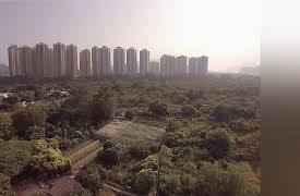 Taste Hunters: Hong Kong