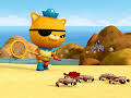 Octonauts