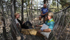 Treehouse Masters