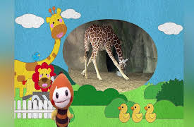 Momo Meets Animals, Season 1: Momo Meets Animals, Season 1, Episode 1