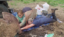 Australiens Tierrettung - Einsatz am Bondi Beach