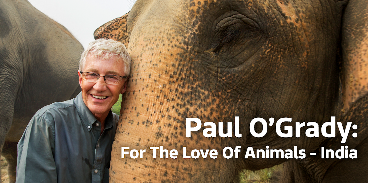 Paul O'Grady: For The Love Of Animals - India