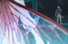 Cagaster of an Insect Cage: To You…