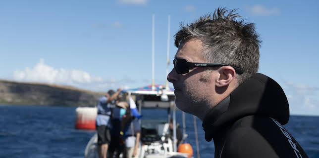 14:00: Return To Shark Island | Animal Planet | 11/9 2025