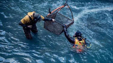 11:00 AM: Gold Rush: White Water (S5) | Discovery Channel | 6/18 2026
