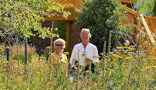 rbb Gartenzeit