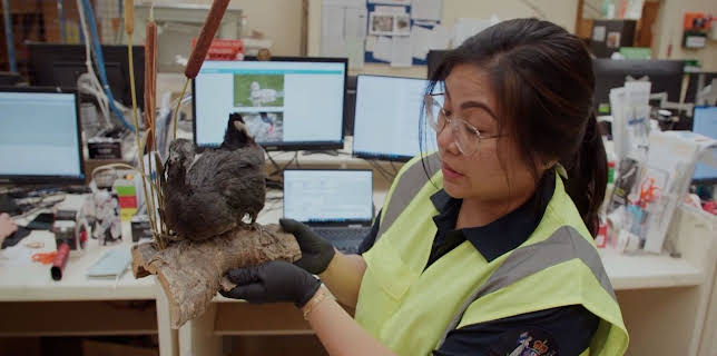 10:20: Border Patrol New Zealand | ProSieben Maxx | 1/9 2026