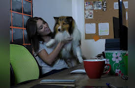Petchannel Brasil: Pets At Work