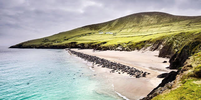 20:15: Wildes Irland - Die grüne Insel | SWR Fernsehen BW | 11/30 2025