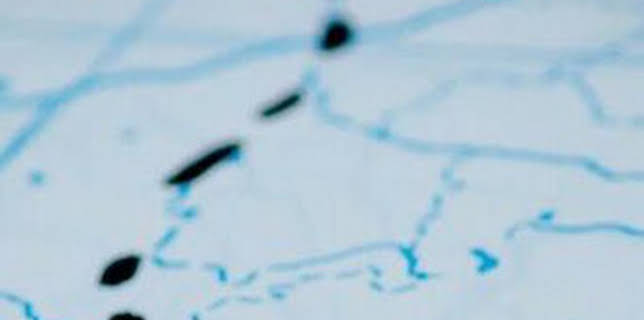 07:00: En ruta | 7 TV Región Murcia | 12/13 2025