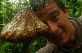 Man vs. Wild Season 1: Ecuador