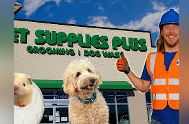 Handyman Hal: Explore a Pet Shop | Handyman Hal works at Pet Supply Plus | Learn about animals