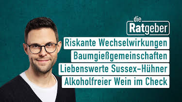 08:25: Die Ratgeber | HR Fernsehen | 8/3 2026