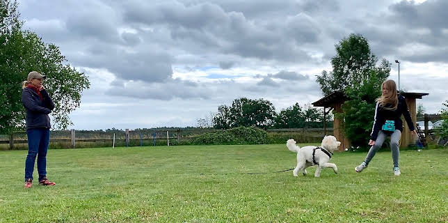 06:00: Liebste Fellnasen – Abenteuer Hundeschule (7) | Das Erste | 1/24 2026