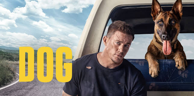 23:15: Dog | TV3 | 1/5 2026